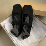 Korean Version Of 100 With Skirts Mary Jane Shoes 2025 Winter Explosion Of Waste Soil Mary Jane Women's Shoes Coarse Heel Single Shoes HZ0115