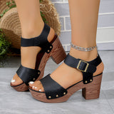 High-Heeled Sandals Women 2025 Summer New Fashion With Fish Mouth Coarse Belt Buckle Thick-Soled Sandals HZ0115