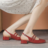 Mary Jane Shoes Women's French Retro Small Red Shoes In The Summer Of 2025 New Double Buckle Shallow Mouth Coarse Single Shoes HZ0115