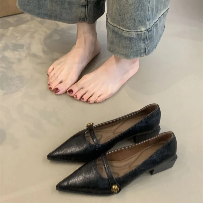 Korean Version Of The Sharp-Pointed Thick Heel High Heels Women 2025 Spring New Evening Wind Commute With Shallow Single Shoes HZ0115