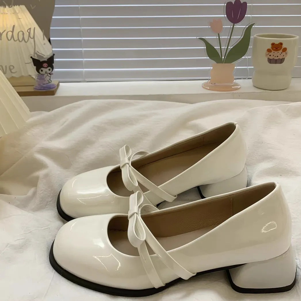 French Retro High Heel Round Head Coarse Heel Single Shoes 2025 New Temperament Coarse Heel Evening Mary Jane Women's Shoes HZ0115