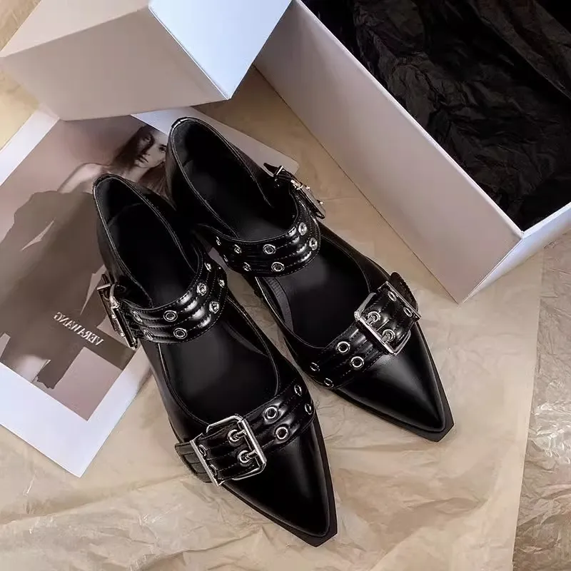 Small Design Trendy Black Pointed Mary Jane Single Shoes Women's Shoes Spring 2025 French Coarse Leather Shoes HZ0115