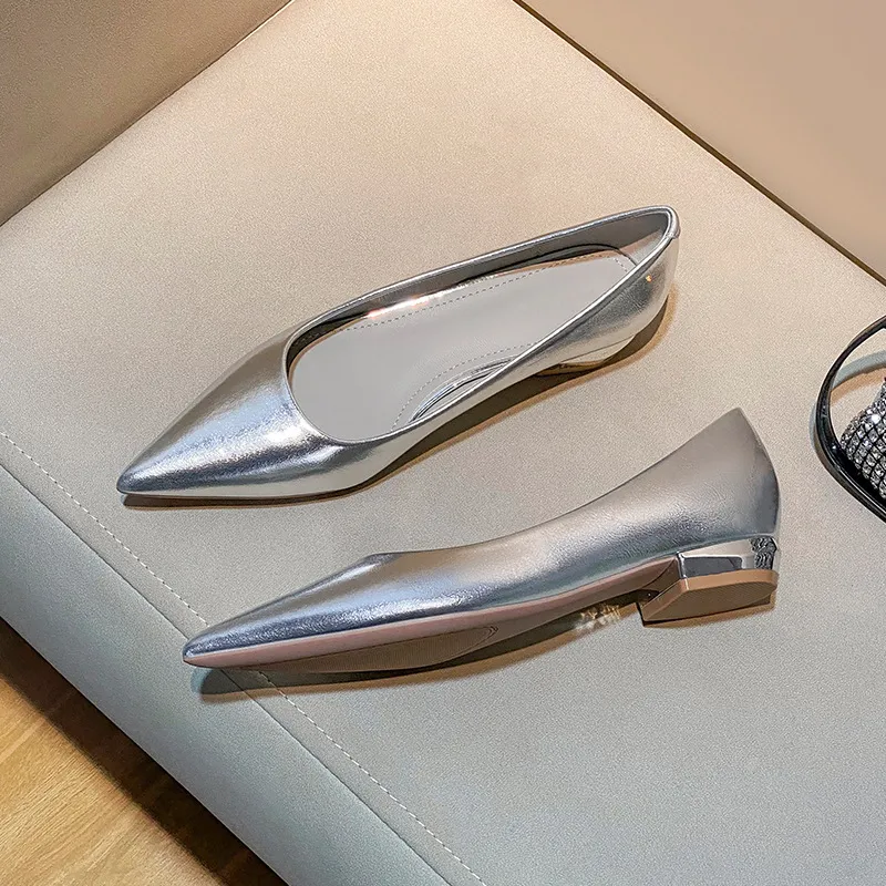 Silver Pointed Thick Heel High Heels Women 2025 New Light-Mouthed Temperament Retro Commute Low Heel Single Shoes Are Not Tired HZ0115